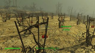 FALLOUT4 00136