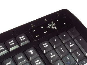 razer arctosa 4